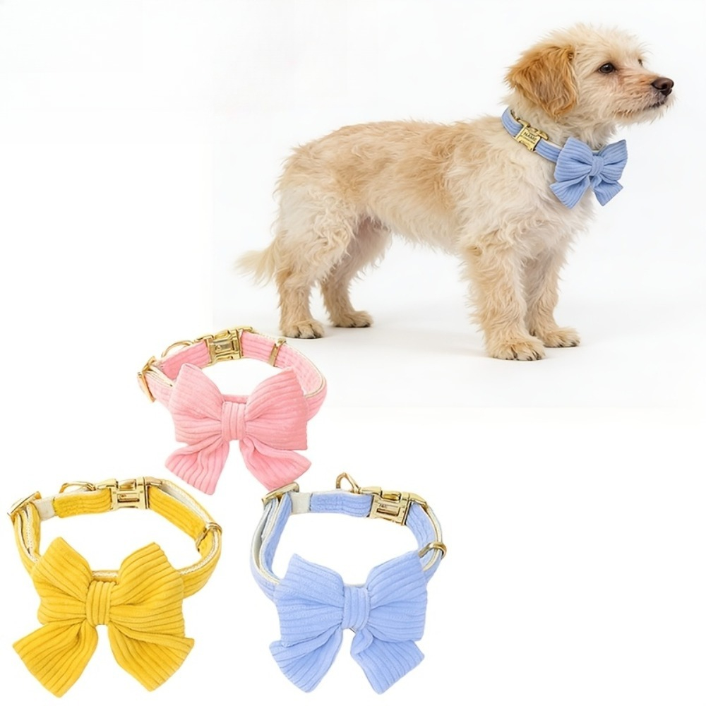 Phone Accessories And Names - Personalized Pet Collar with Corduroy Bowtie