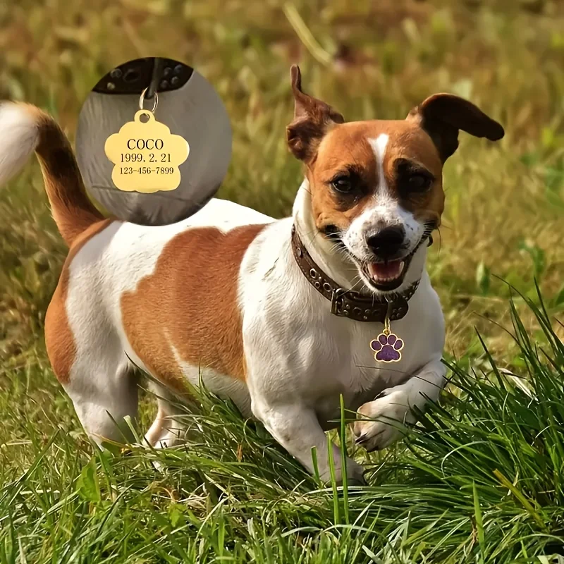 Personalized Dog & Cat Name Ta – Phone Accessories And Names recenzja i cena